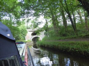 Double arch bridge