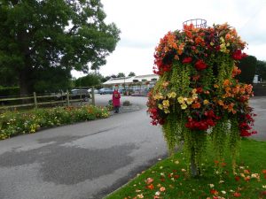 Gargrave garden centre