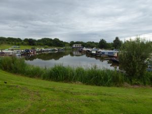 Reedley Marina 1